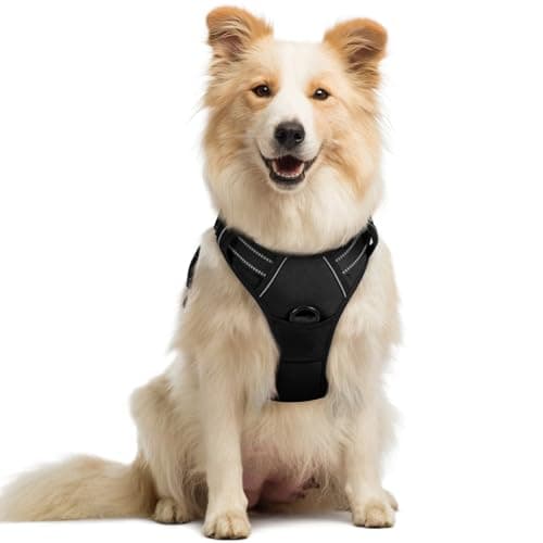 Rabbitgoo No-Pull Dog Harness