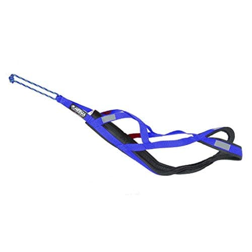 Neewa Pro Sled Dog Harness (X-Large)