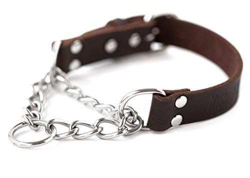 Mighty Paw Martingale Collar