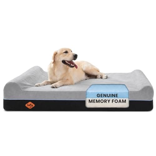 Laifug Orthopedic 7-Inch Memory Foam Bed