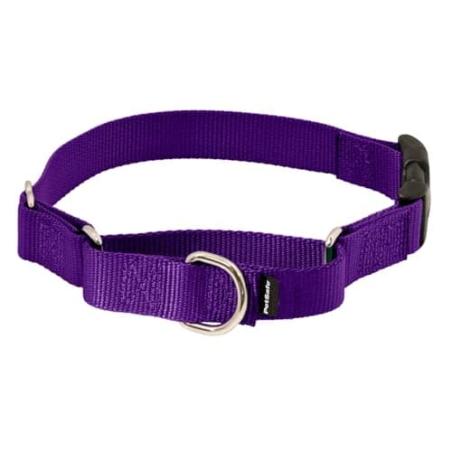 PetSafe Martingale Collar with Quick Snap