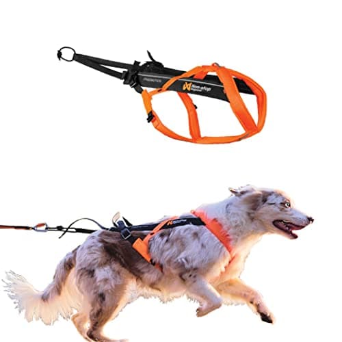 Non-stop dogwear Freemotion Harness 5.0 (Size 6)