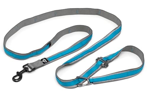 Kurgo Quantum 6-in-1 Leash