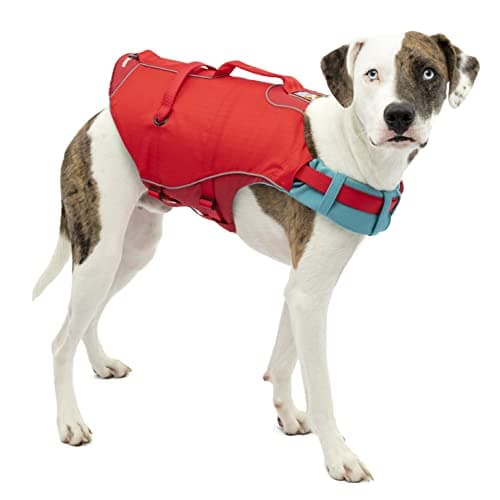 Kurgo Surf n Turf Life Jacket