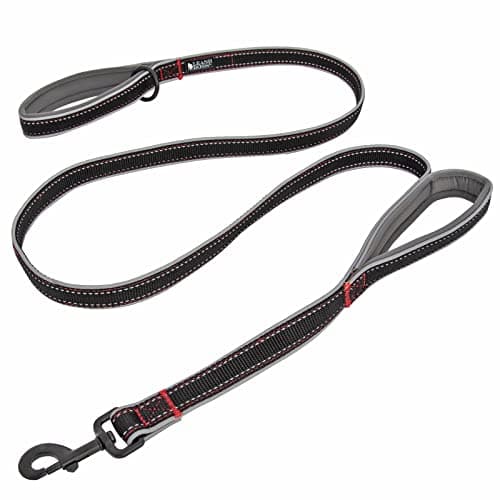 Leashboss Double Handle Leash