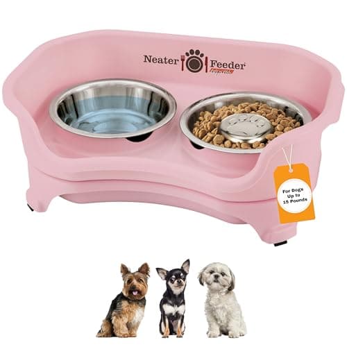 Neater Pet Brands Neater Slow Feeder