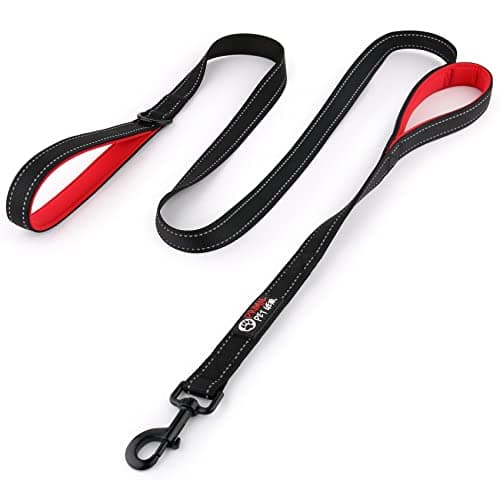 Primal Pet Gear Double Handle Leash