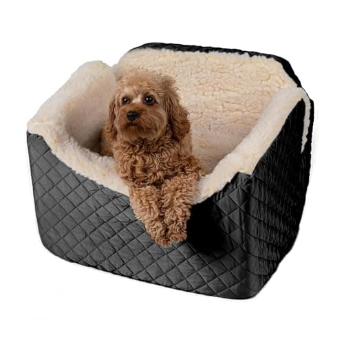 Snoozer Lookout I Car Seat (Medium, up to 25 lb)