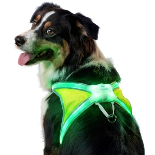 Noxgear LightHound