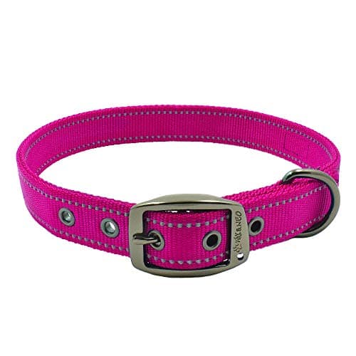 Max and Neo MAX Reflective Metal Buckle Collar