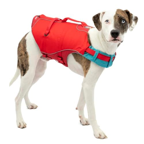 Kurgo Surf n Turf Life Jacket