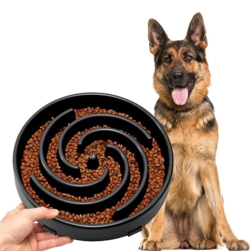 JASGOOD Slow Feeder Bowl