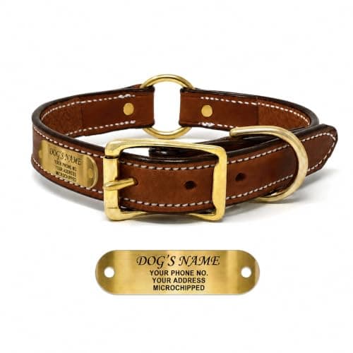 Regal Dog Products Engraved Leather Collar, Brass Nameplate