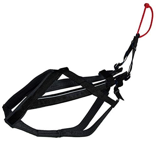 Neewa Adjustable Racing Harness (X-Large)
