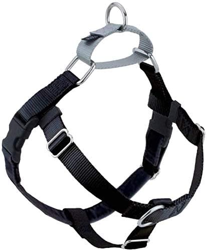 2 Hounds Design Freedom No-Pull Harness (1 in, 2X-Large)