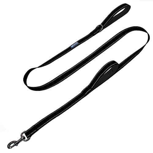 Max and Neo Double Handle Traffic Leash