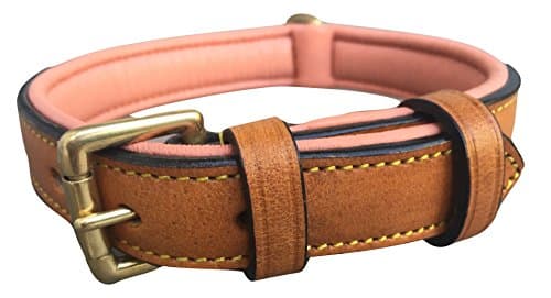 Soft Touch Collars Padded Leather Collar