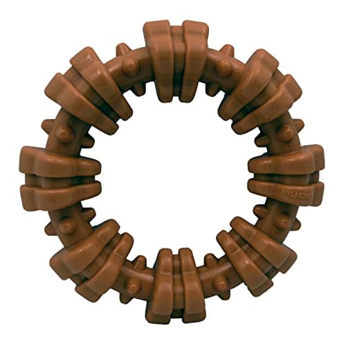 Nylabone Power Chew Textured Ring