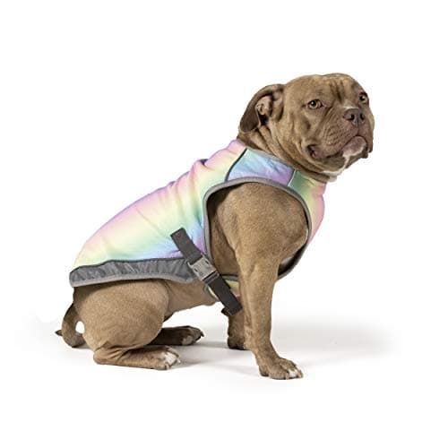 Canada Pooch Chill Seeker Cooling Vest