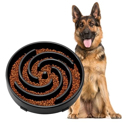 JASGOOD Slow Feeder Bowl