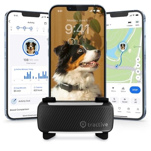 Tractive GPS DOG 6