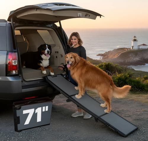 Pet Gear Tri-Fold Ramp