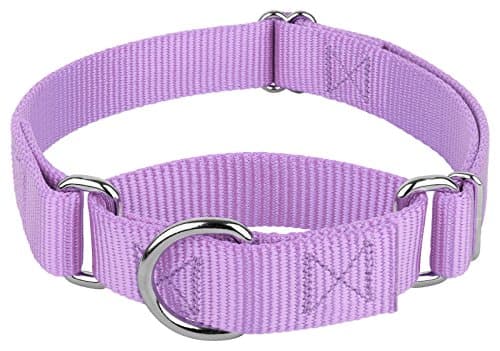 Country Brook Petz Martingale Collar