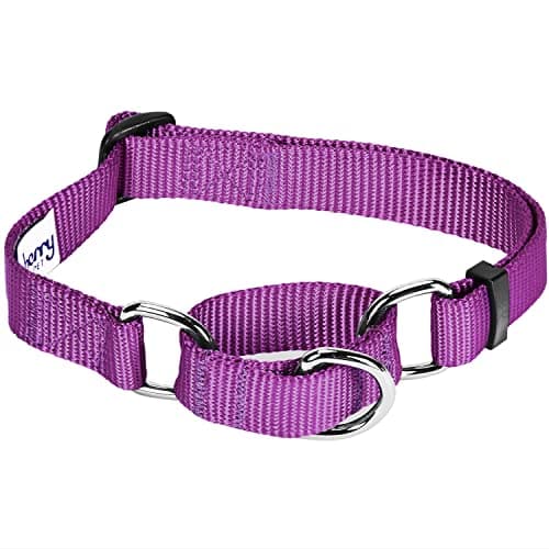 Blueberry Pet Martingale Collar