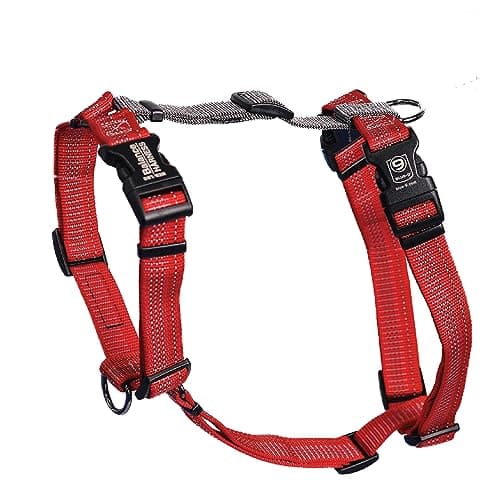 Blue-9 Balance Harness