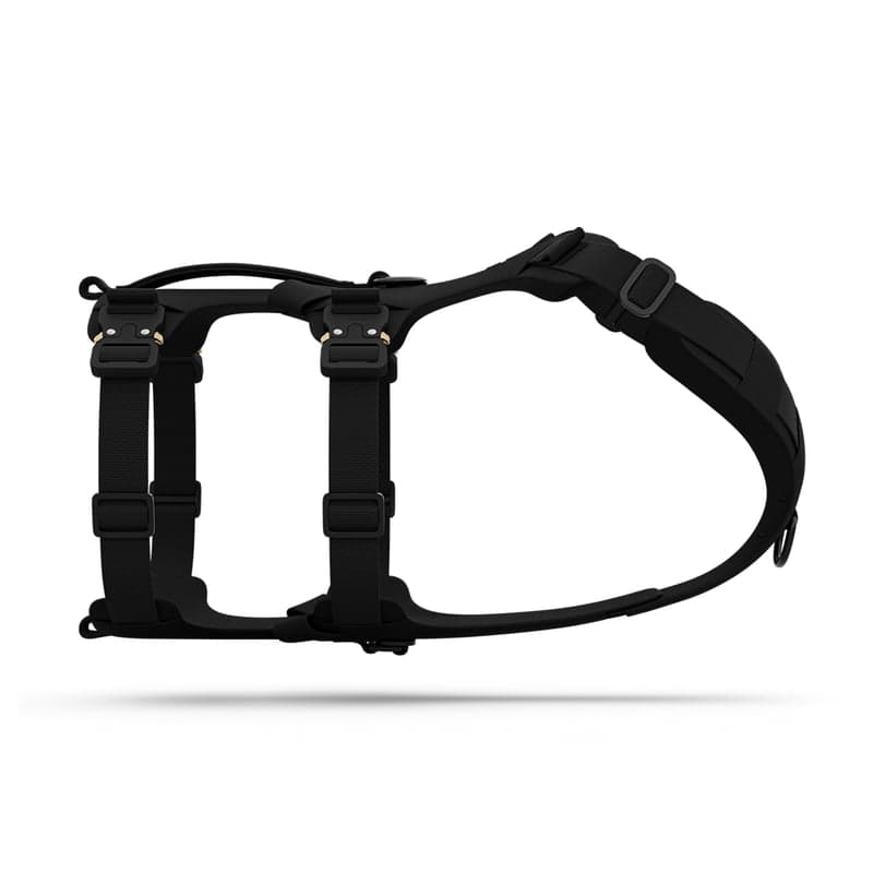 Saker Bomber Harness