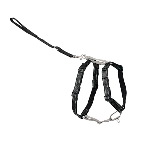 PetSafe 3 in 1 Harness