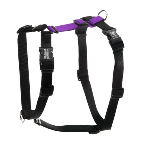 Blue-9 Balance Harness