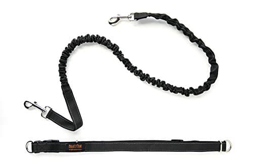 Mighty Paw Hands Free Leash