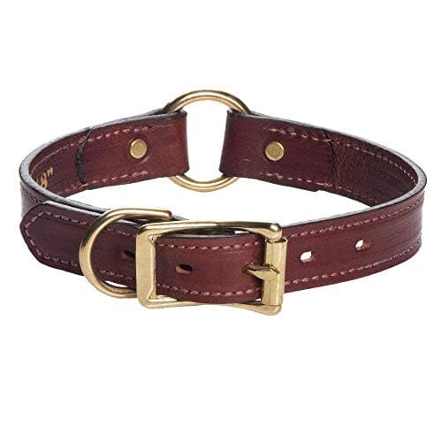 Mendota Pet Leather Dog Collar