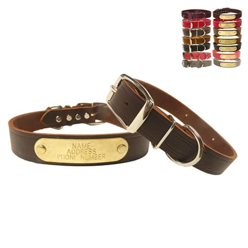 Warner Sporting Cumberland Leather Collar, Riveted Brass Tag