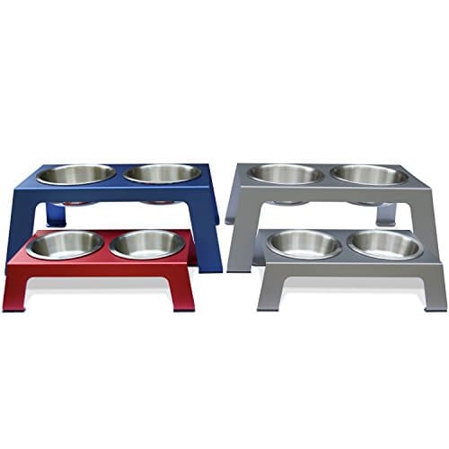 PetFusion Elevated Dog Feeder