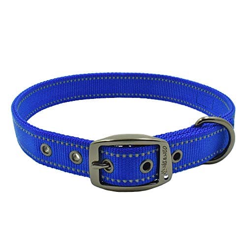 Max and Neo MAX Reflective Metal Buckle Collar