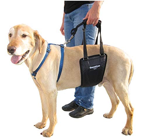 GingerLead Dog Support Sling