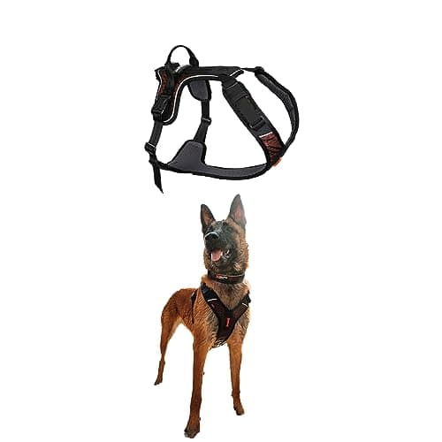 Non-stop dogwear Rock Harness (Size XL)
