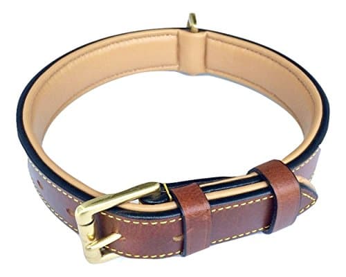Soft Touch Collars Padded Leather Collar