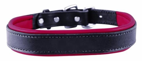 Perri's Leather Dog Collar