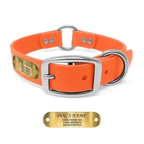 Regal Dog Products Engraved Name Plate Collar, BioThane