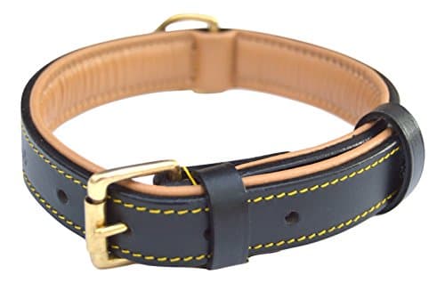 Soft Touch Collars Padded Leather Collar